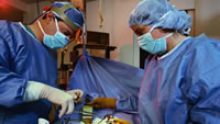 Lien-based surgery